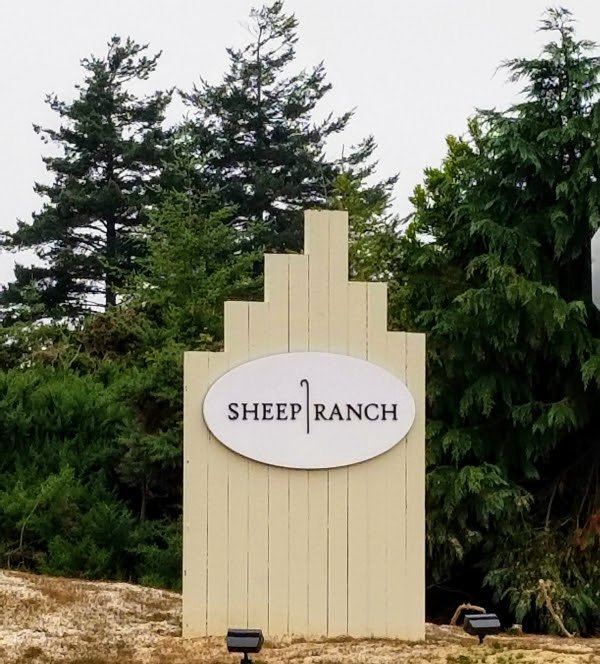 Read more about the article Sheep Ranch