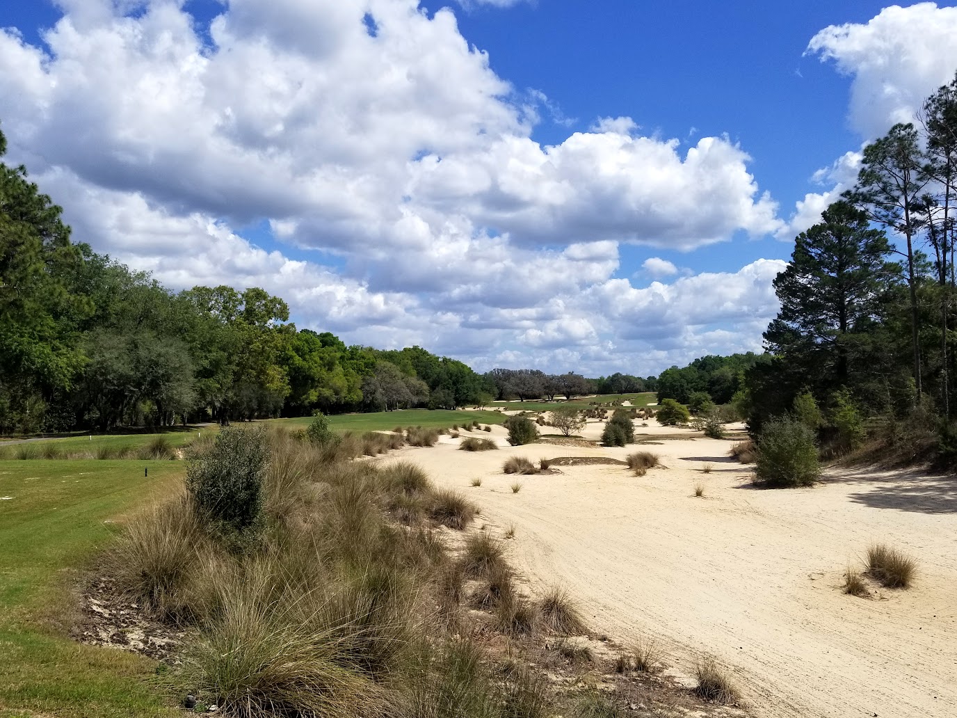 Read more about the article Cabot Golf announces the acquisition of World Woods, and Plans for Renovation as Cabot Citrus Farms