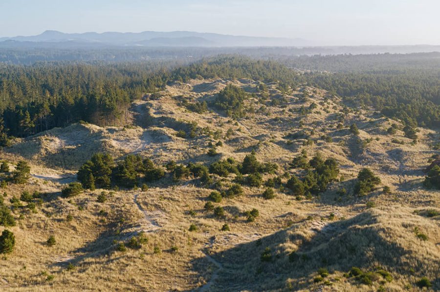 Read more about the article Construction on Bandon’s New 19  Hole – Short Course has Begun