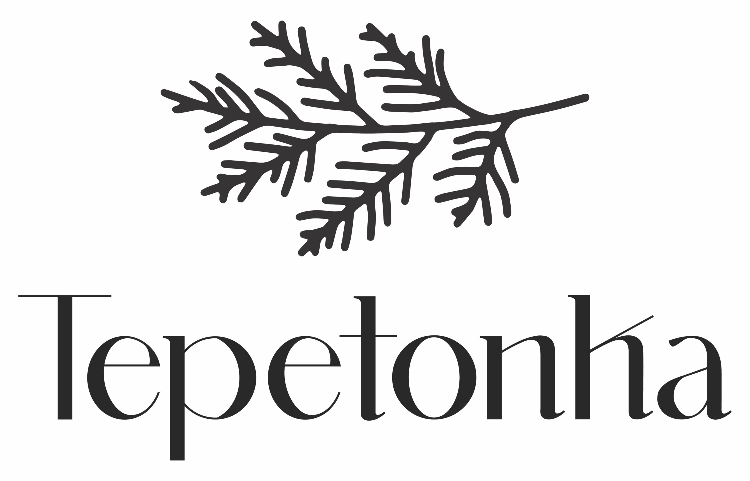 Read more about the article Jim Nantz named Design Consultant for Tepetonka Club’s short course