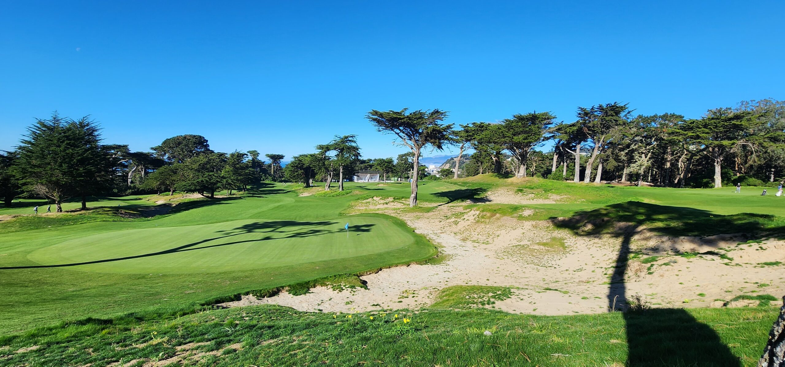 Read more about the article Golden Gate Park is Reborn After Jay Blasi Renovation